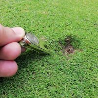 Richtig Pitchmarken ausbessern